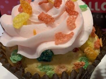 asheville bakery special cupcakes